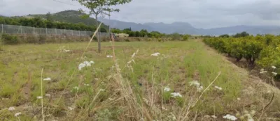 Terreno en venta en Comunidad Valenciana - Vista 2