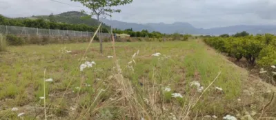Terreno en venta en Comunidad Valenciana - Vista 3