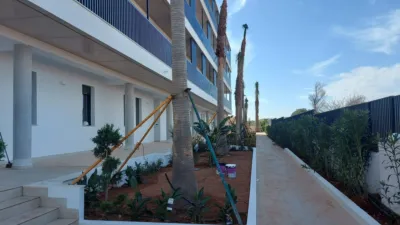 Apartment in Mar de Cristal photo 47