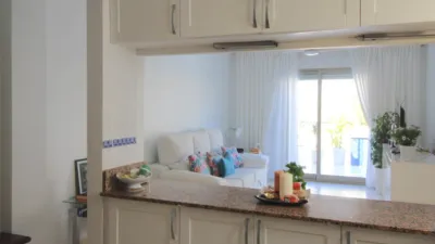 Penthouse at Calle Doctor Mariano Ruiz Canov, No. 7 photo 49