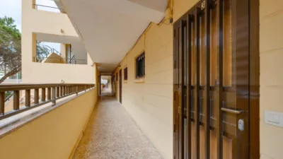 Apartamento en Cabo Cervera photo 18