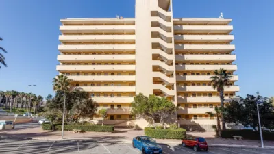 Apartamento en Cabo Cervera photo 21