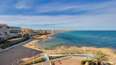 Apartamento en Cabo Cervera photo 24