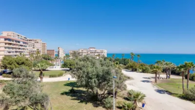 Apartamento en Cabo Cervera photo 29