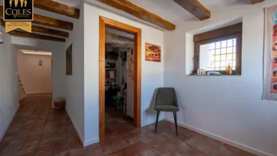 Rustic Finca on Calle Paraje Alancin photo 15