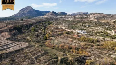 Rustic Finca on Calle Paraje Alancin photo 3