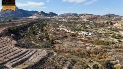 Rustic Finca on Calle Paraje Alancin photo 5