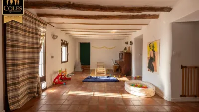 Rustic Finca on Calle Paraje Alancin photo 9
