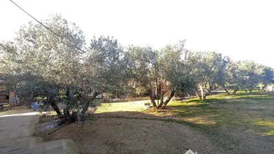 Rustic property on Calle Principal photo 13