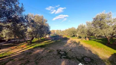 Rustic property on Calle Principal photo 31