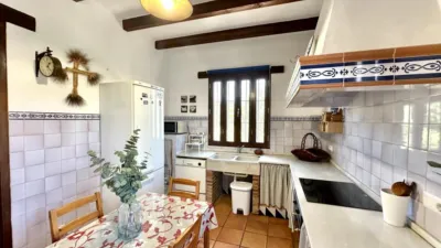 Rustic Finca in Sierra de Yeguas photo 46