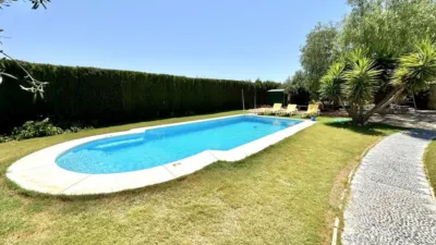 Rustic Finca in Sierra de Yeguas photo 47