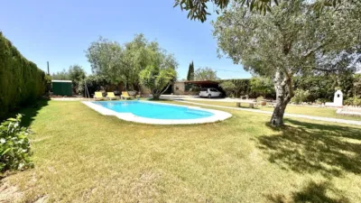 Rustic Finca in Sierra de Yeguas photo 53