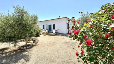 Rustic Finca in Sierra de Yeguas photo 57