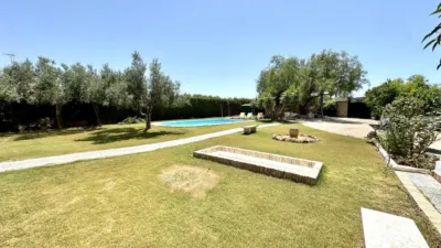 Rustic Finca in Sierra de Yeguas photo 58