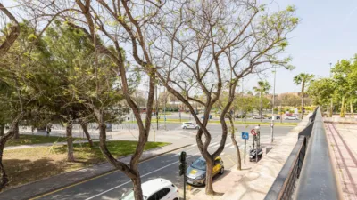 Apartment on Juan Carlos I photo 28
