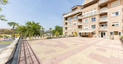 Apartment on Juan Carlos I photo 29