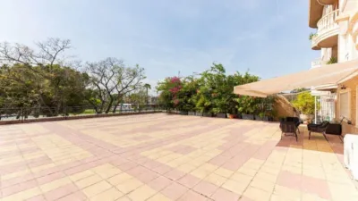 Apartment on Juan Carlos I photo 30