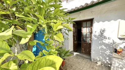 Chalet in Sierra de Yeguas photo 41
