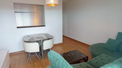 Apartment on Calle del Junco photo 4
