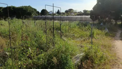 Rustic farm in Rural photo 25