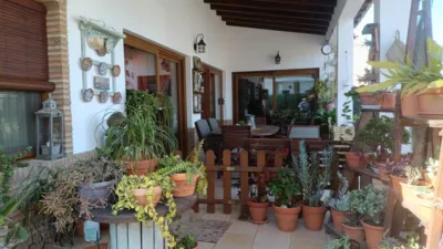 Chalet in Pinares de Lepe photo 17