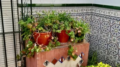 House in Tocina photo 22