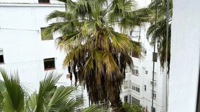 Apartment on Ventura de la Vega Street photo 40
