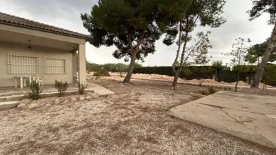 Casa – Elx - Elche - Vista 3