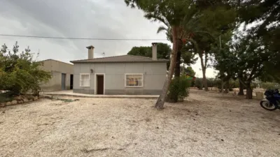 Casa – Elx - Elche - Vista 5