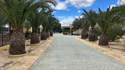 Casa – Elche, la Vallverda Alta - Vista 2