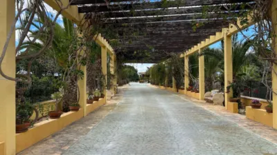 Casa – Elche, la Vallverda Alta - Vista 3