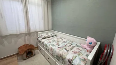 Apartment on Teniente Ruiz Brú Street photo 20