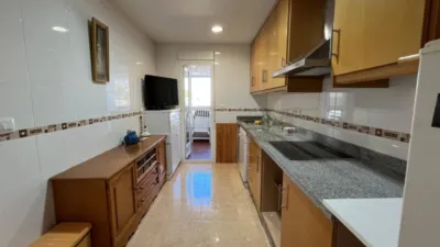 Pis – Elx - Elche - Vista 4