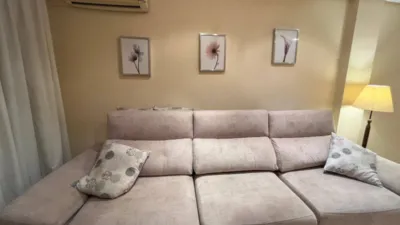 Apartment on Carlos Antón Pastor Street photo 5