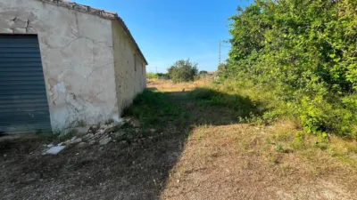 Rustic Finca in Partida Maitino photo 14