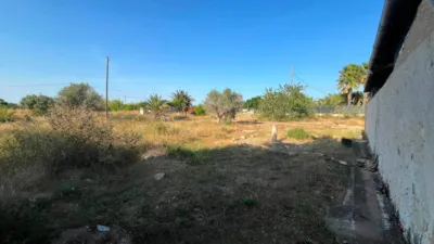 Rustic Finca in Partida Maitino photo 15