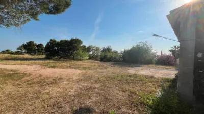Rustic Finca in Partida Maitino photo 16