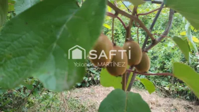 Terreno en venta en A Casalonga (Osebe) - Vista 4