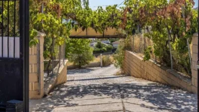 Rustic Finca on Camino de los Molinos photo 5
