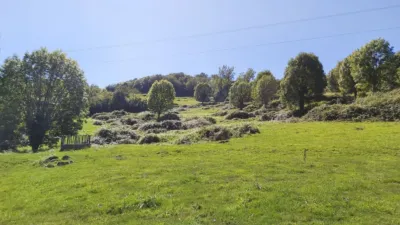 Rustic farm in Calle Onceño photo 10
