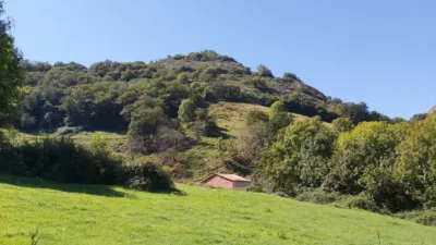 Rustic farm in Calle Onceño photo 13