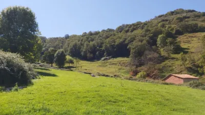 Rustic farm in Calle Onceño photo 16