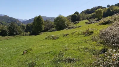 Rustic farm in Calle Onceño photo 17