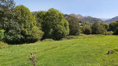 Rustic farm in Calle Onceño photo 18