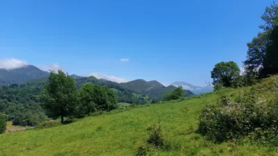 Rustic farm in Calle Onceño photo 21
