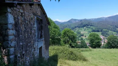 Rustic farm in Calle Onceño photo 2