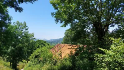 Rustic farm in Calle Onceño photo 32