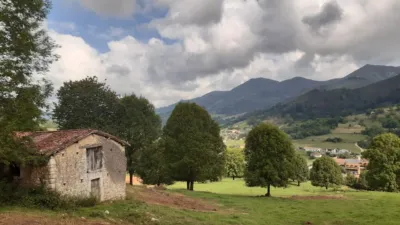 Rustic farm in Calle Onceño photo 38