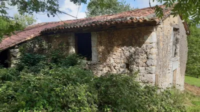 Rustic farm in Calle Onceño photo 5